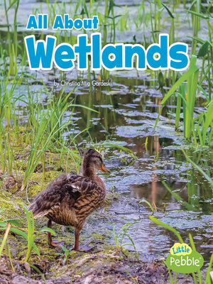 cover image of All About Wetlands